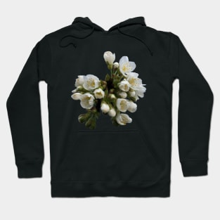 Cherry Blossoms Hoodie